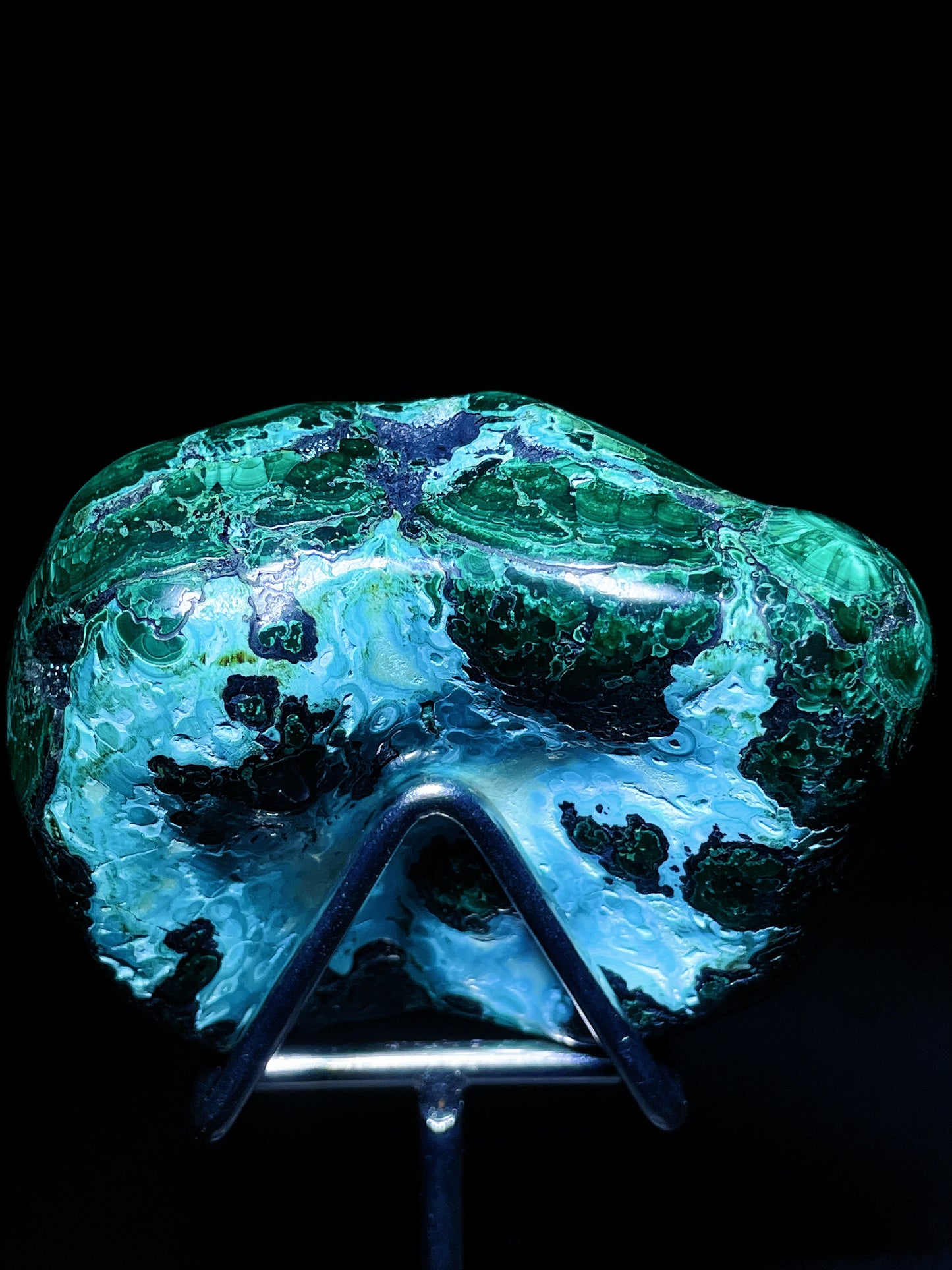 malachite palm Congo