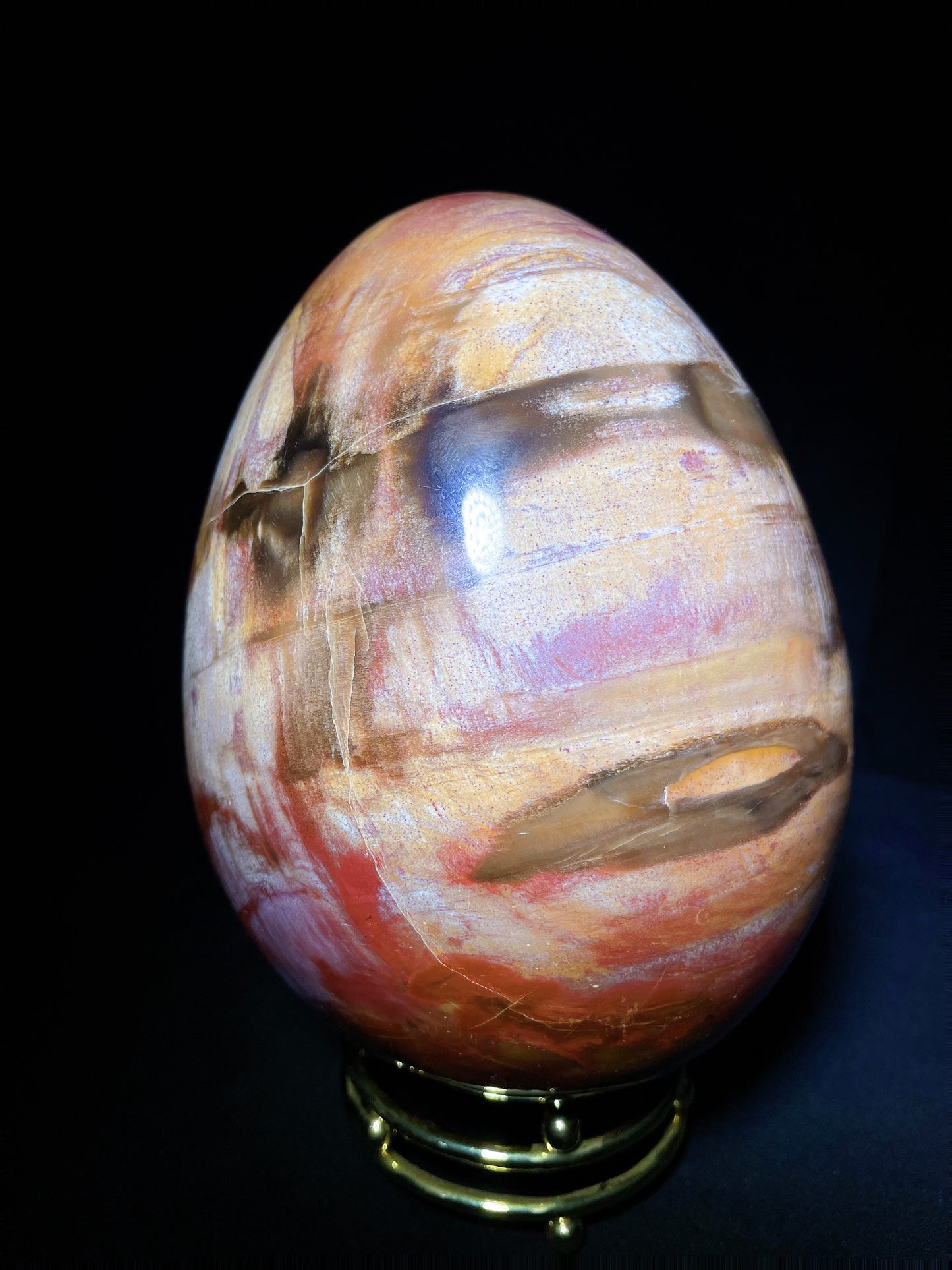 petrified wood egg Madagascar