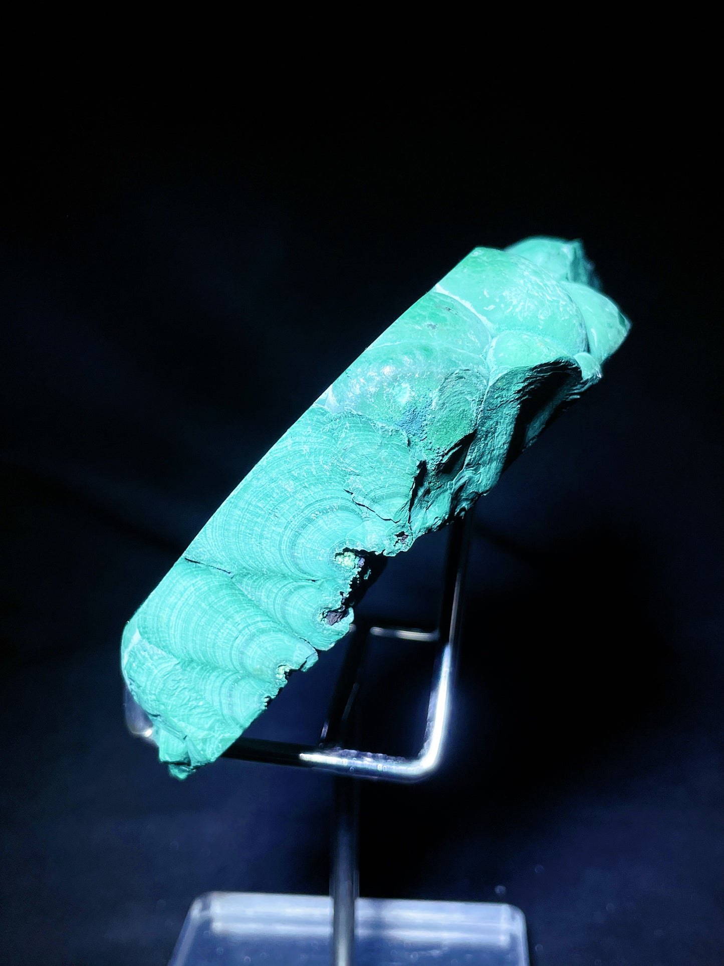 Malachite slice Congo