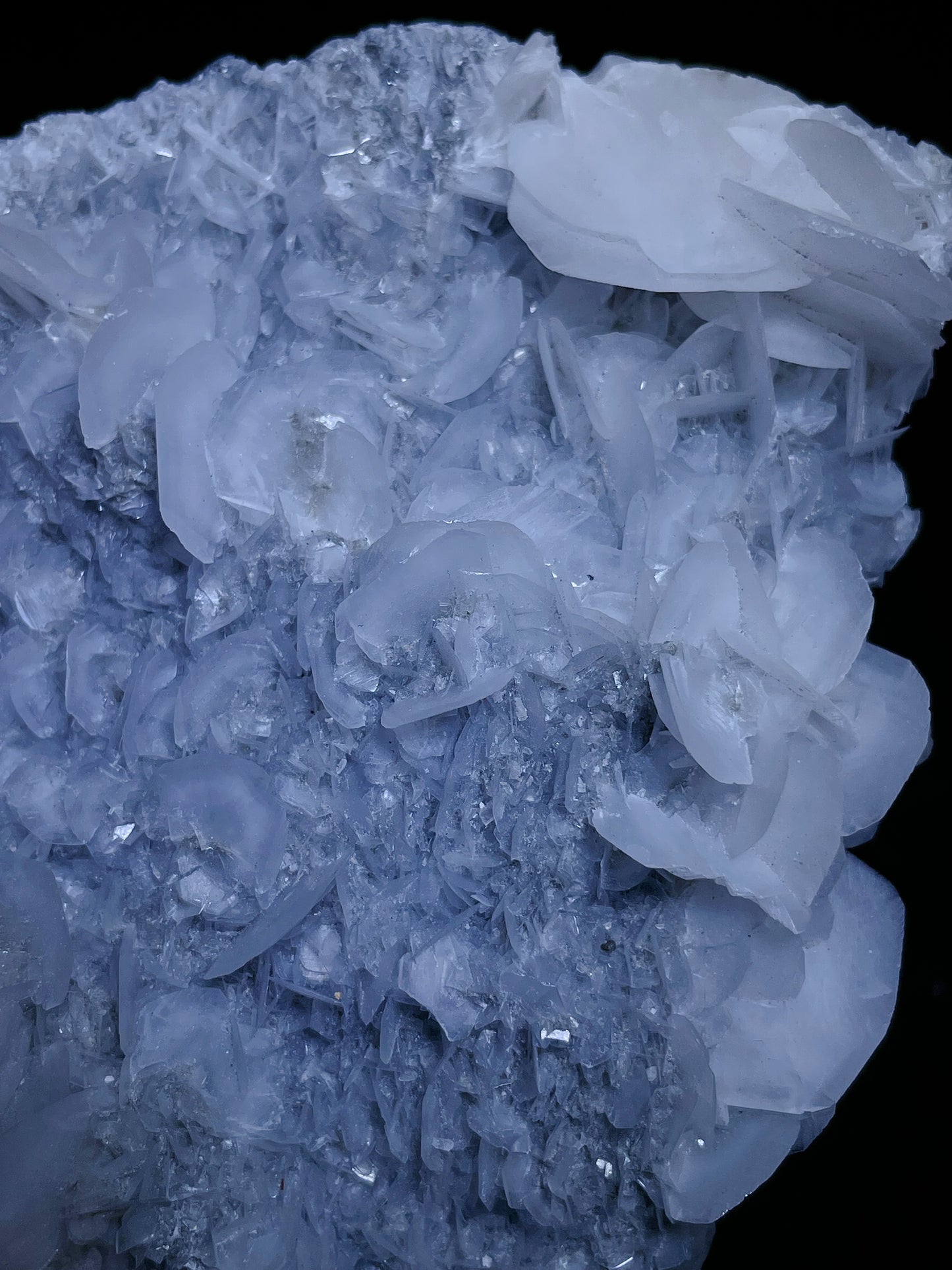 Petal calcite specimen origin Fujian China