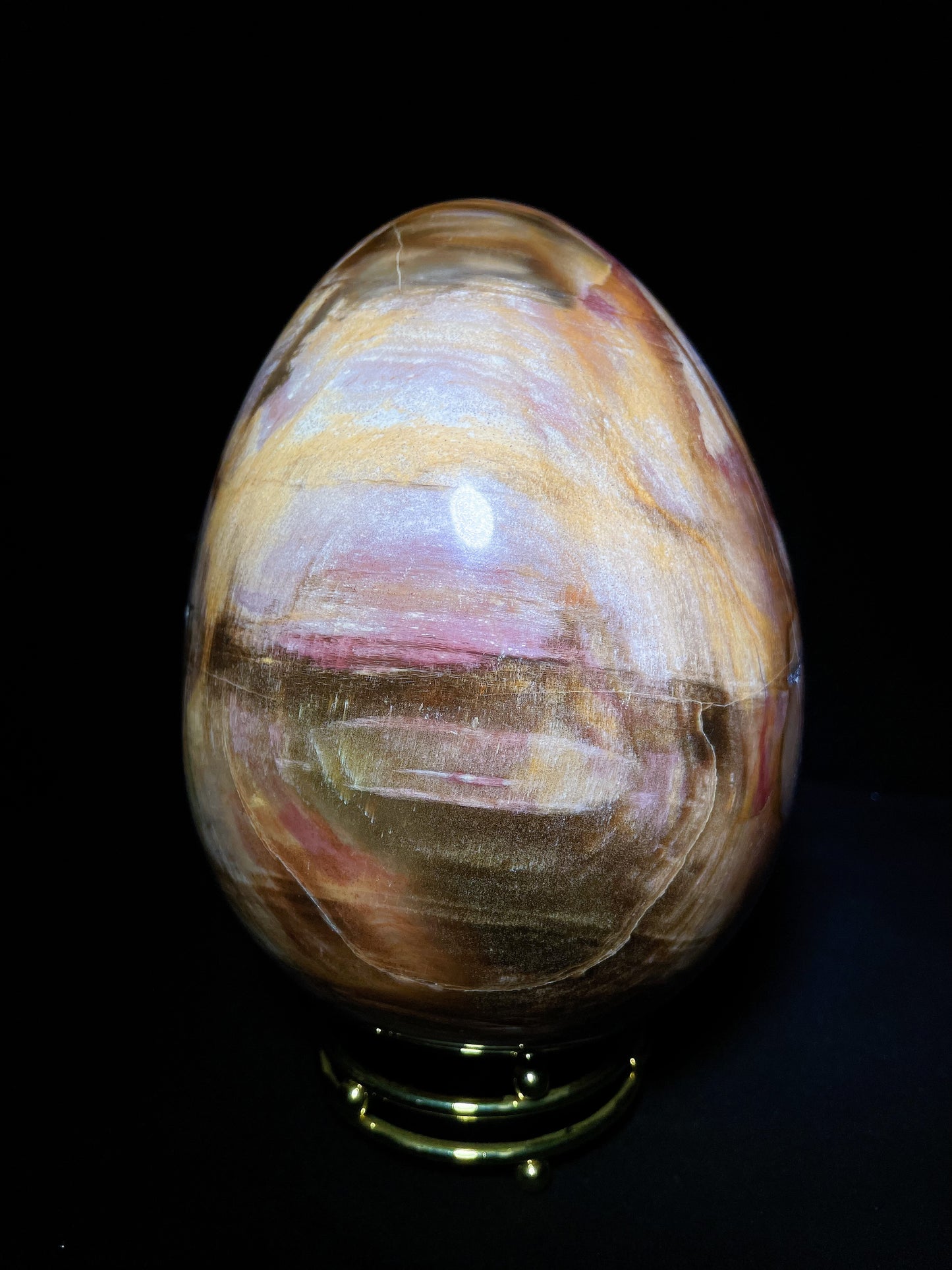 petrified wood egg Madagascar