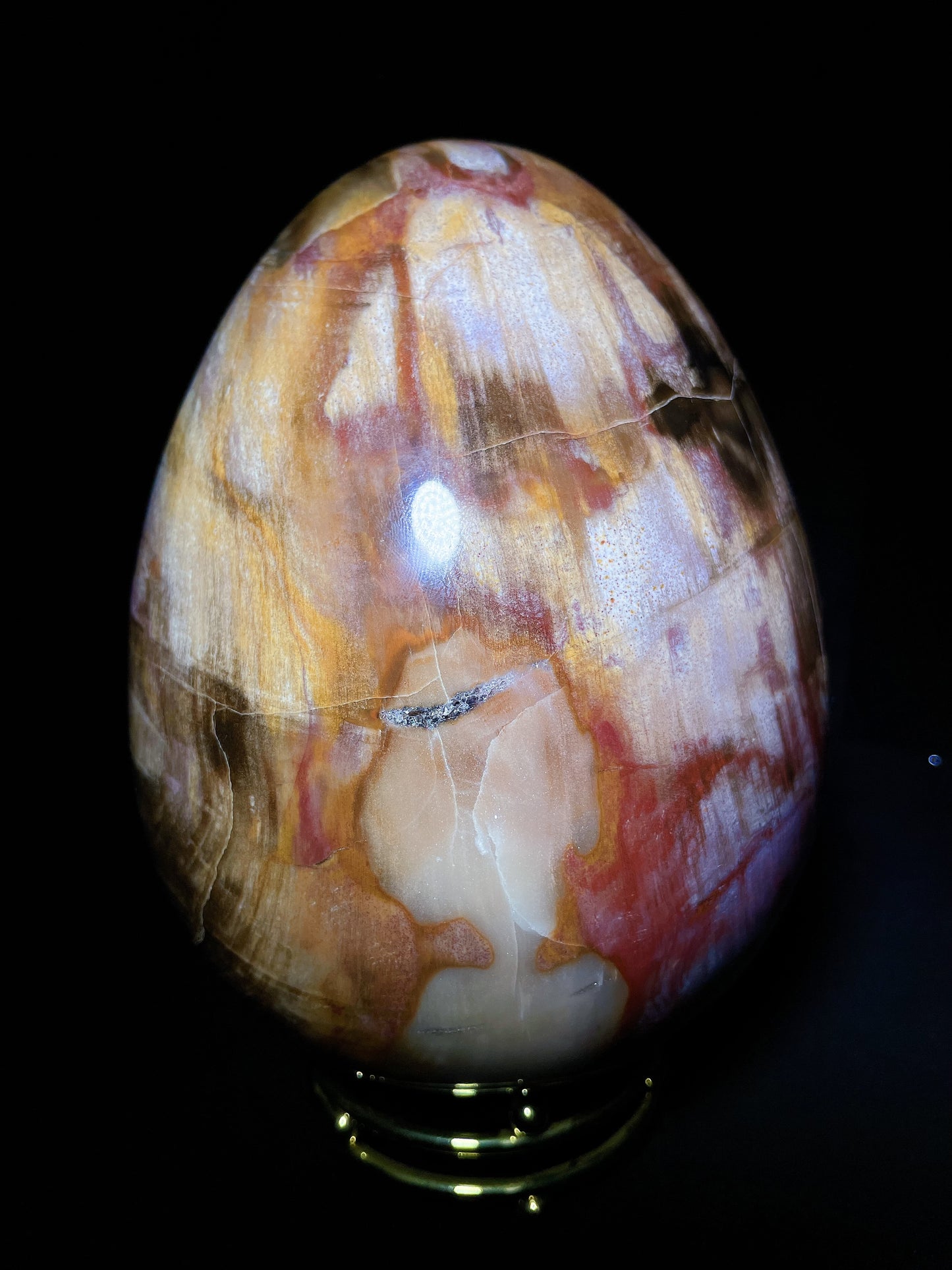 petrified wood egg Madagascar