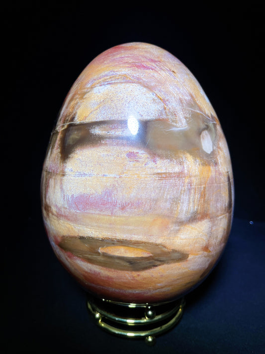 petrified wood egg Madagascar