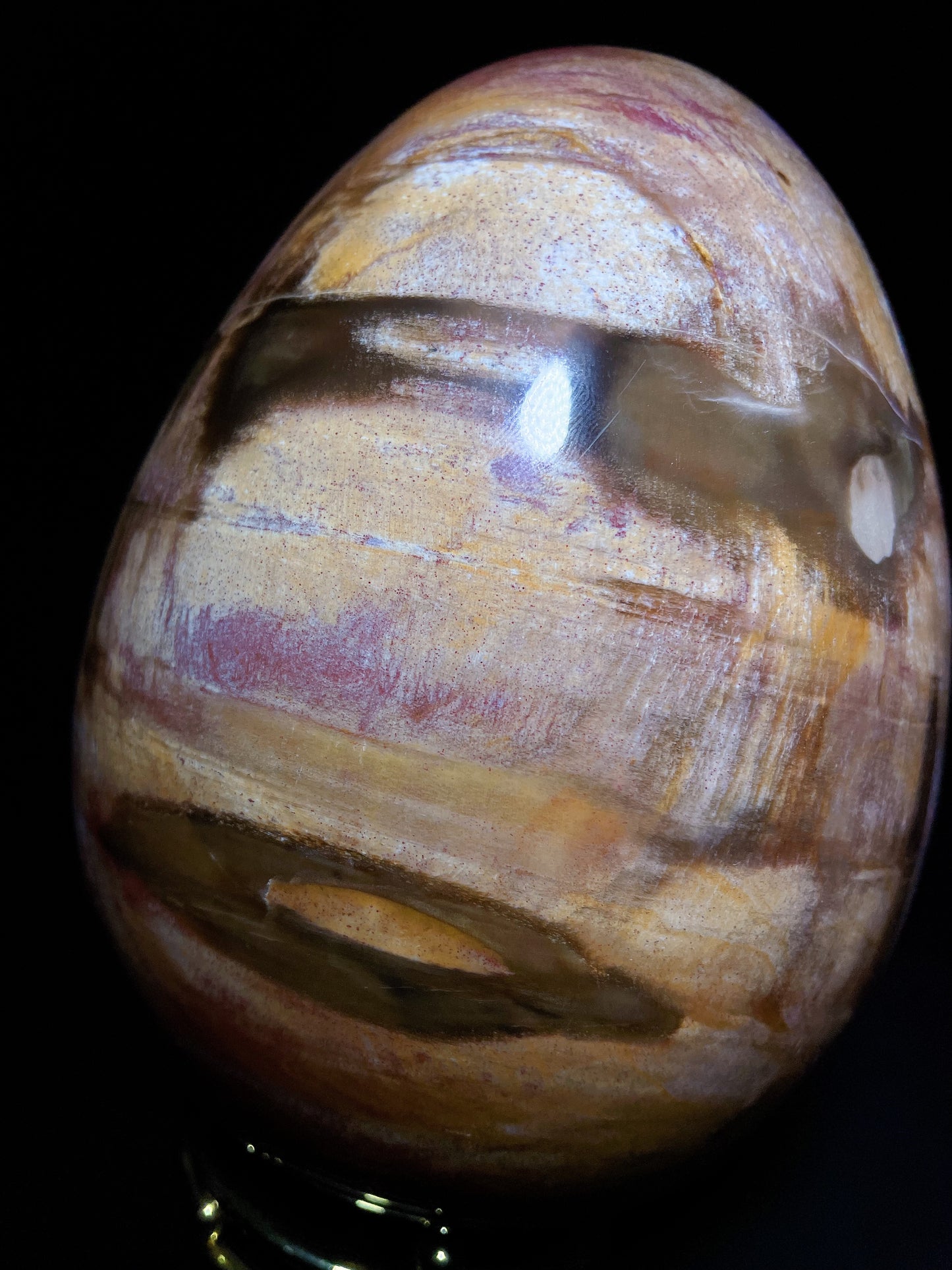 petrified wood egg Madagascar