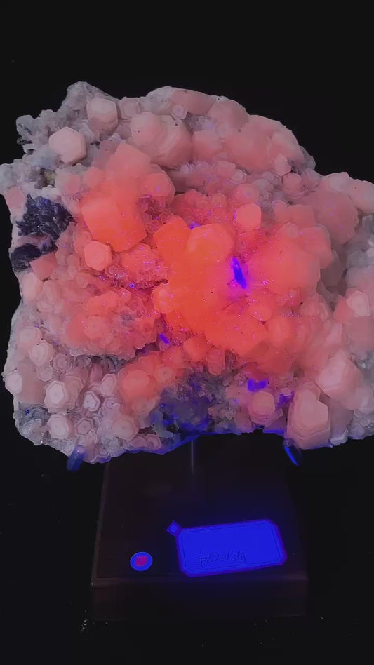 coin calcite fluorite  origin Fujian